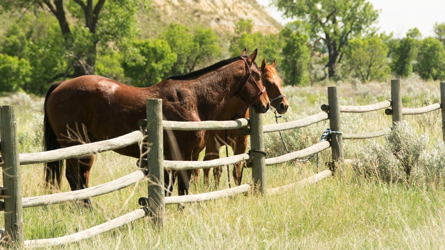 D71_2202.jpg D71 2202