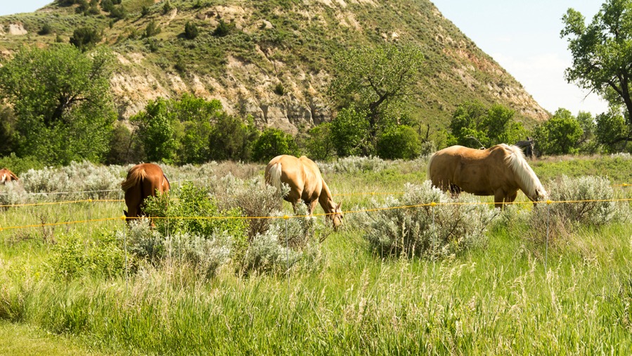 D71_2207.jpg D71 2207