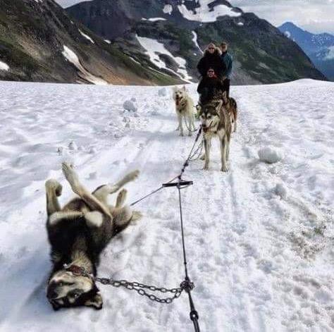 Alaskan Flat Tire