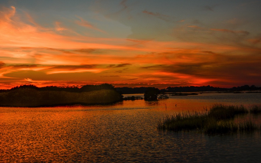 D71_7985-HDR.jpg D71 7985 HDR