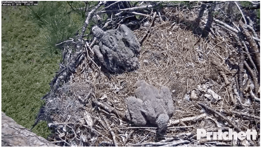 Screen Shot 2016 02 27 at 11 05 40 AM