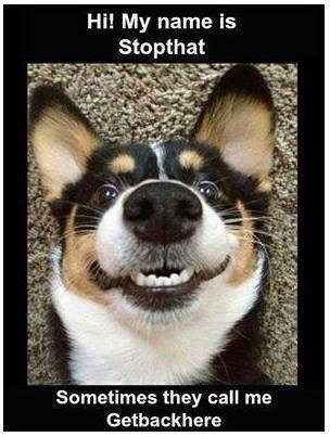 MyNameIsStopThat.jpg MyNameIsStopThat