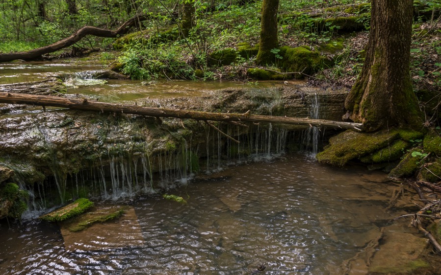 D71_8069-HDR.jpg D71 8069 HDR