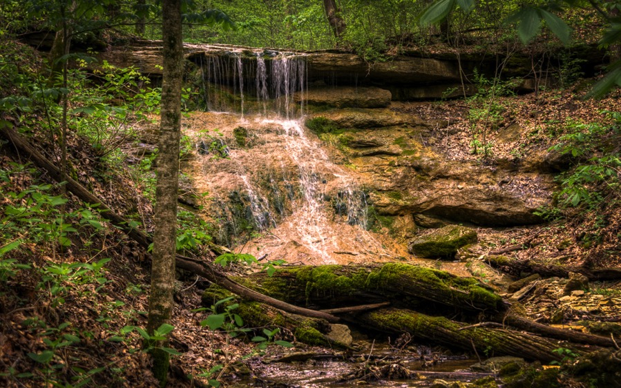 D71_8078_tonemapped.jpg D71 8078 tonemapped