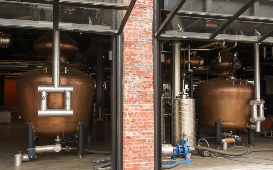 D71_8104.jpg D71 8104