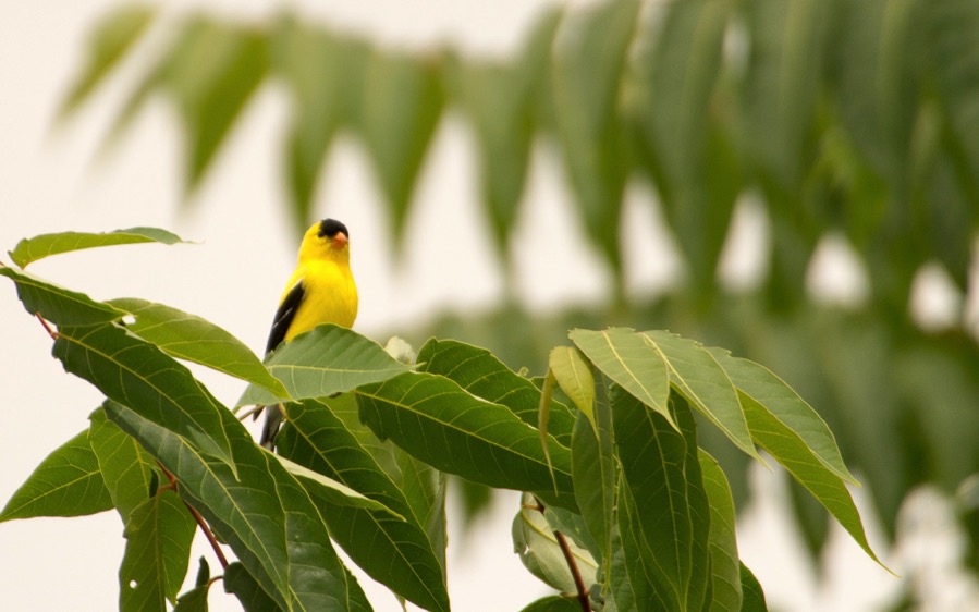 D71_8122.jpg D71 8122