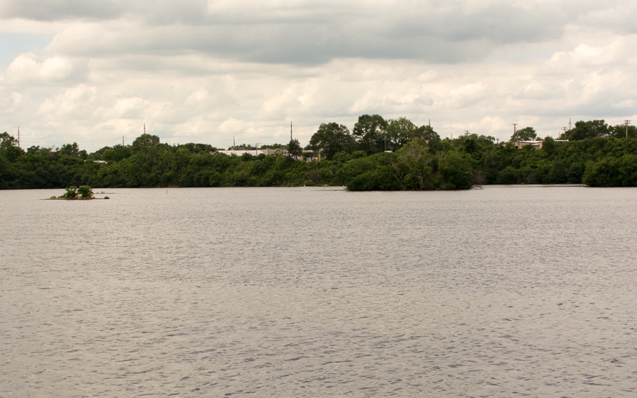 D71_8148.jpg D71 8148