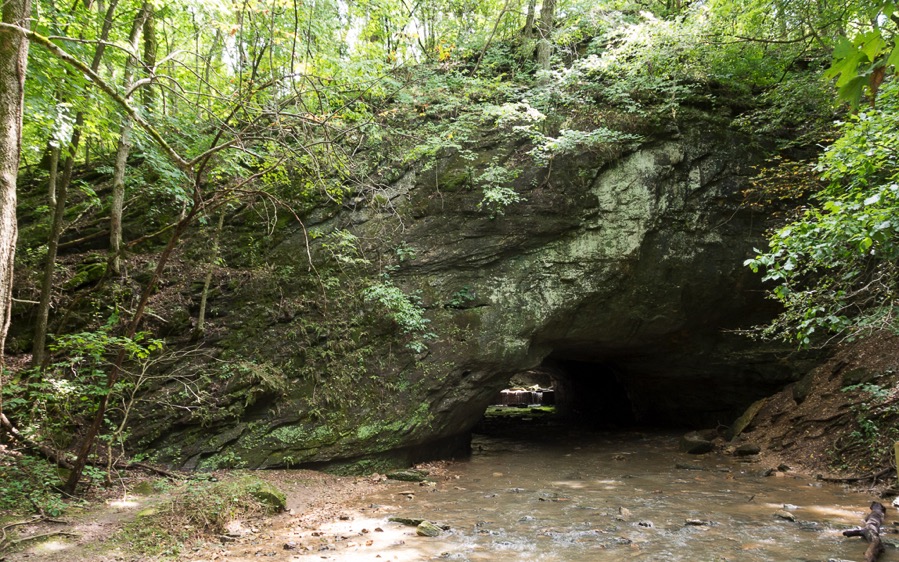 D71_8333.jpg D71 8333