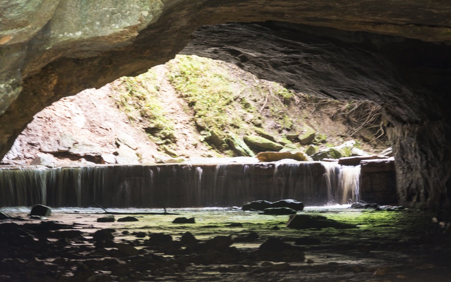 D71_8337.jpg D71 8337