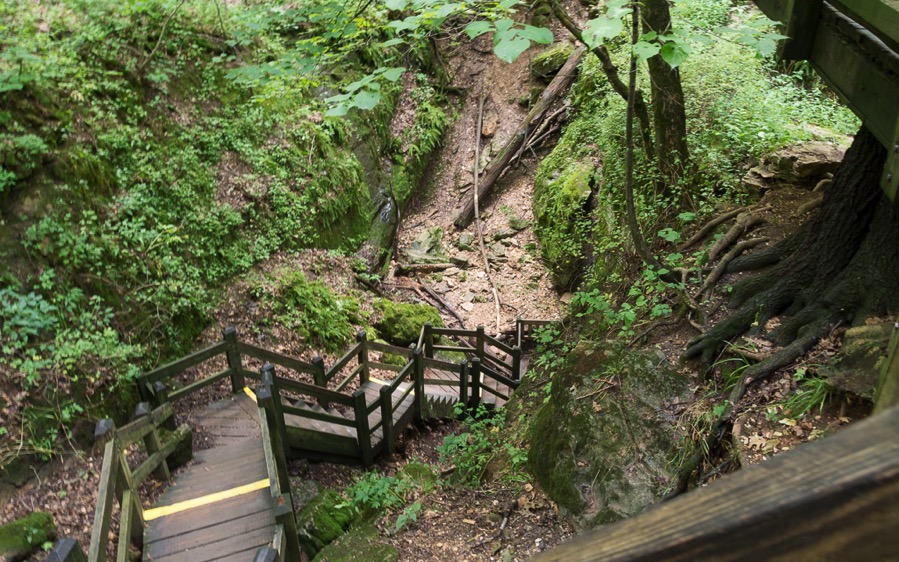 D71_8338.jpg D71 8338