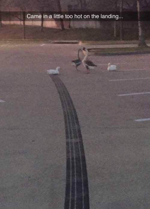 LittleTooHotOnLanding