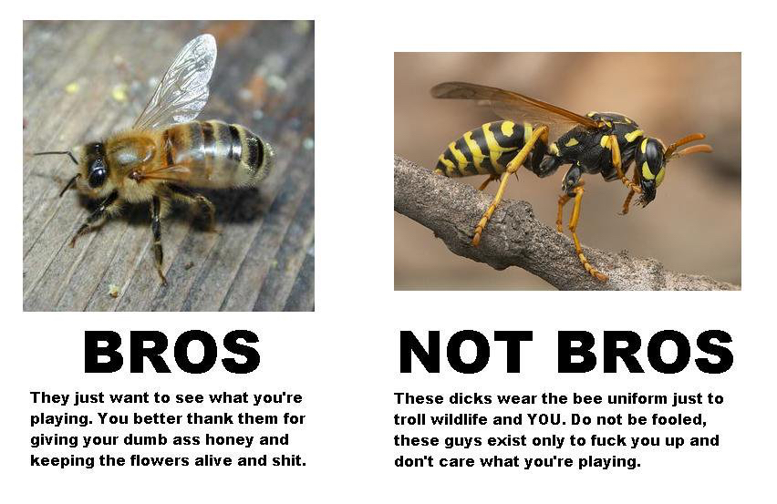 BrosNotBros