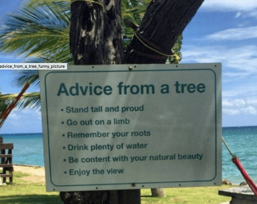 TreeAdvice