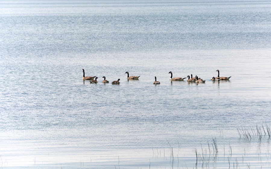 D71_0975.jpg D71 0975