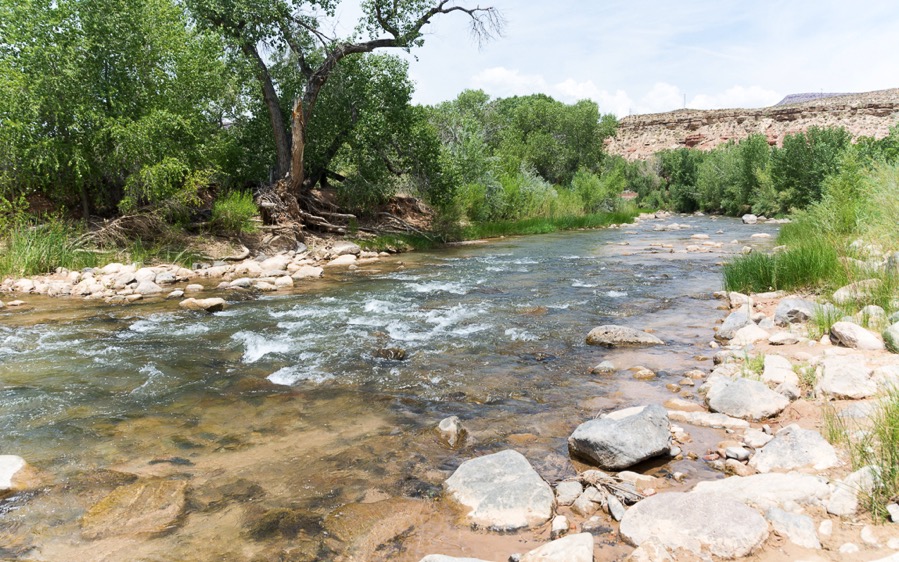 D71_1007.jpg D71 1007