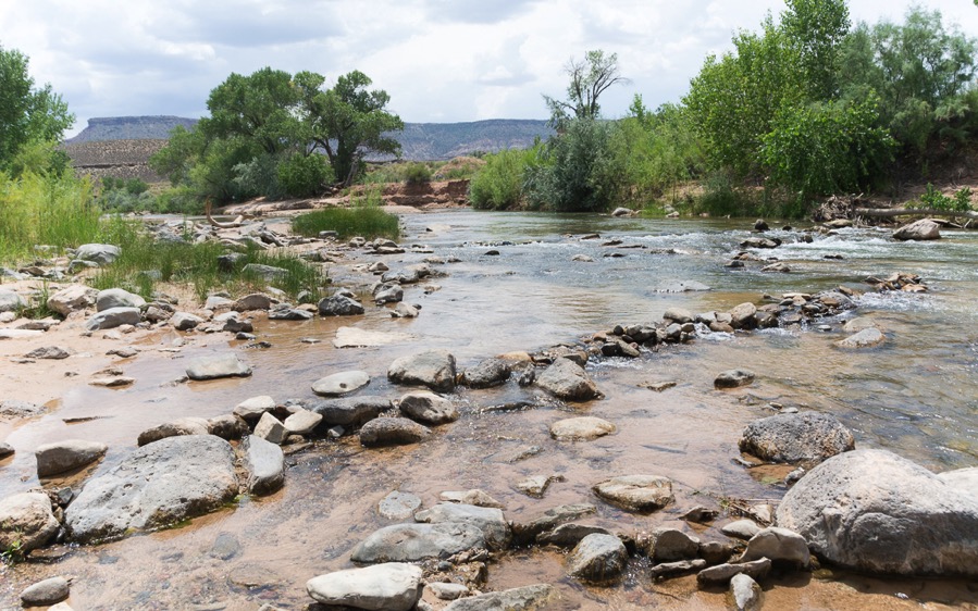 D71_1008.jpg D71 1008