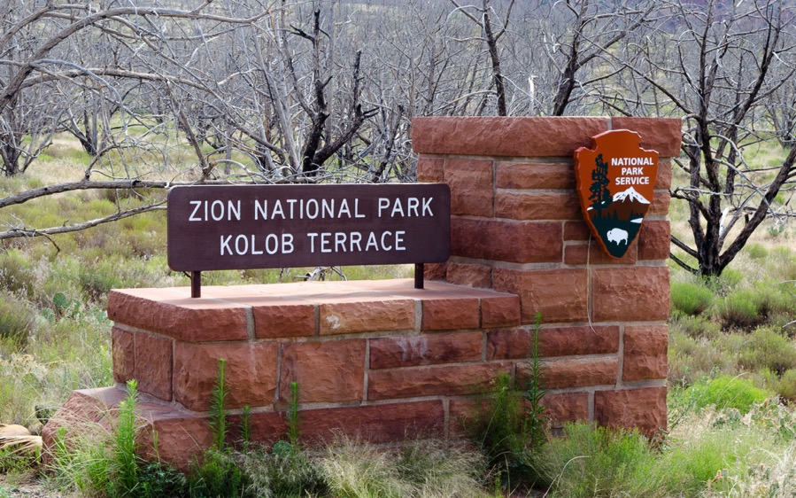 DSC_4292.jpg DSC 4292