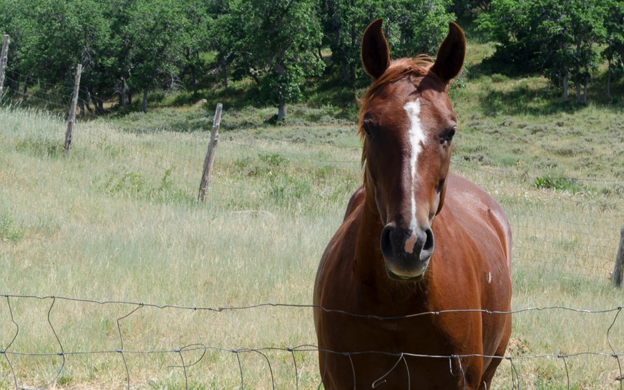 DSC_4309.jpg DSC 4309