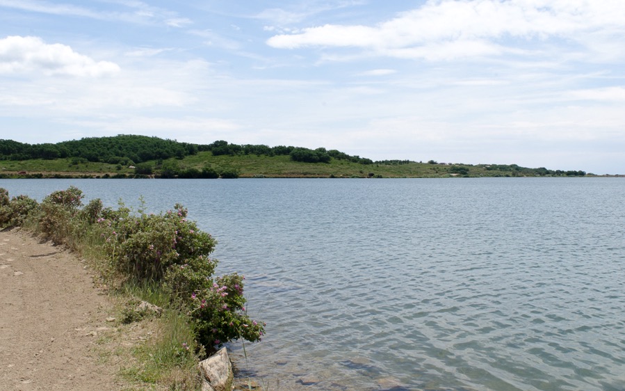 DSC_4317.jpg DSC 4317