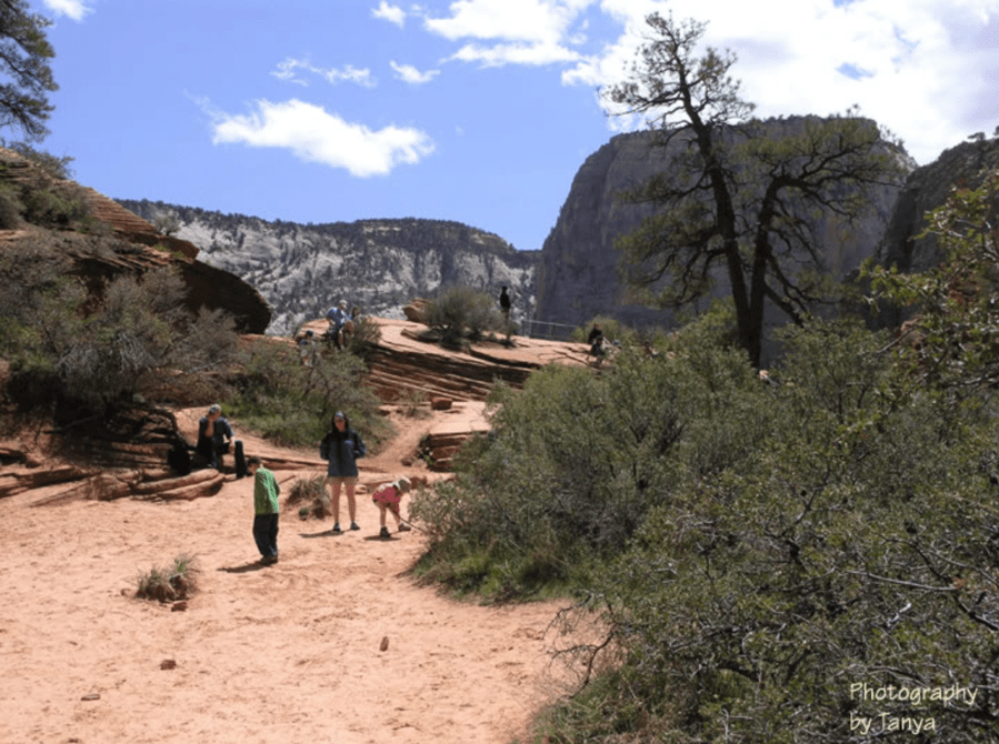 Screen Shot 2017 07 09 at 3 37 11 PM