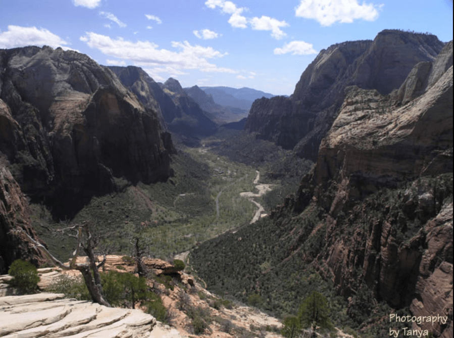 Screen Shot 2017 07 09 at 3 41 07 PM