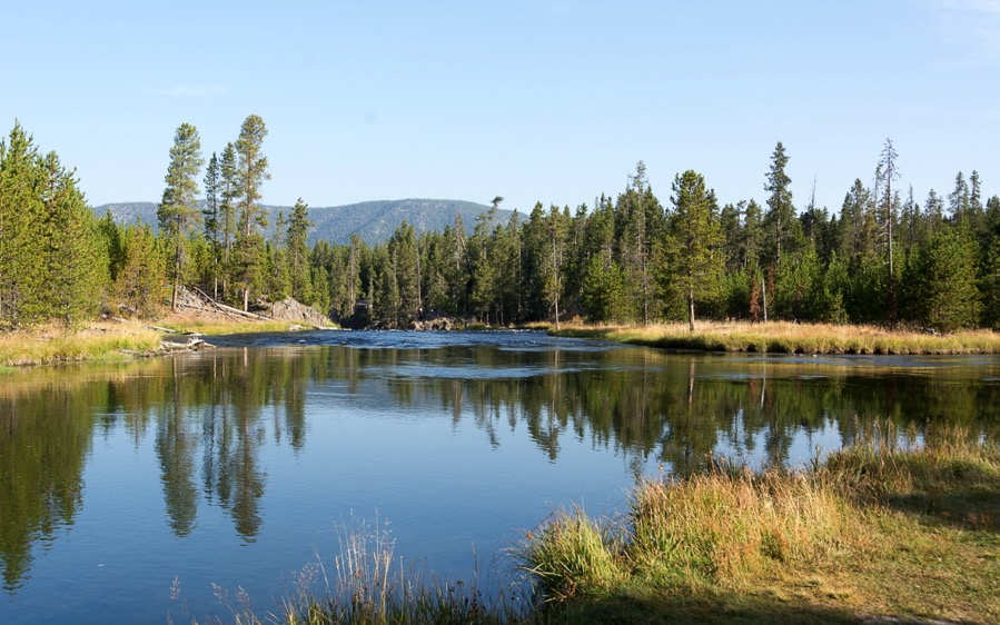 D71_3367.jpg D71 3367