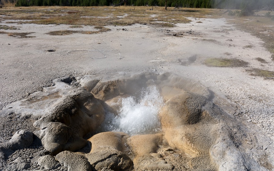 D71_3410.jpg D71 3410