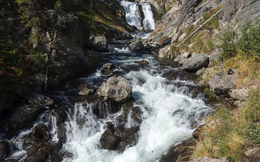 D71_3454.jpg D71 3454