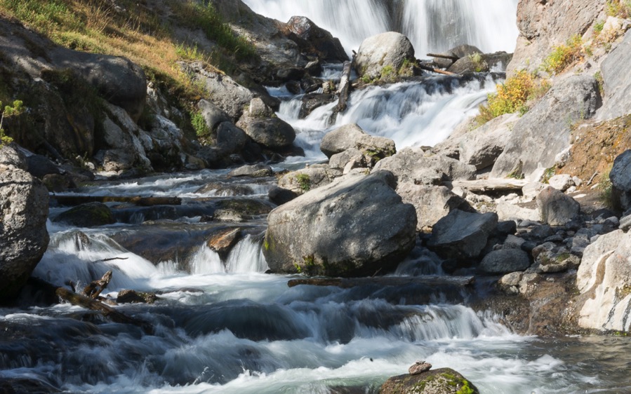 D71_3457.jpg D71 3457