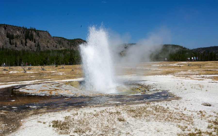 D71_3463.jpg D71 3463