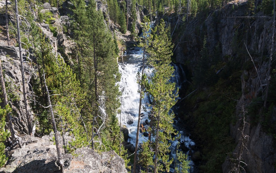 D71_3543.jpg D71 3543