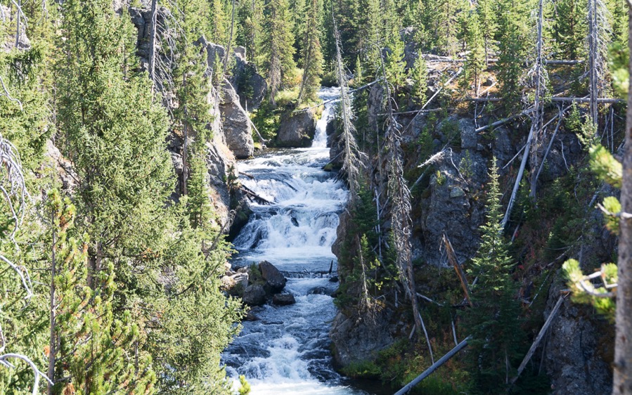 D71_3550.jpg D71 3550