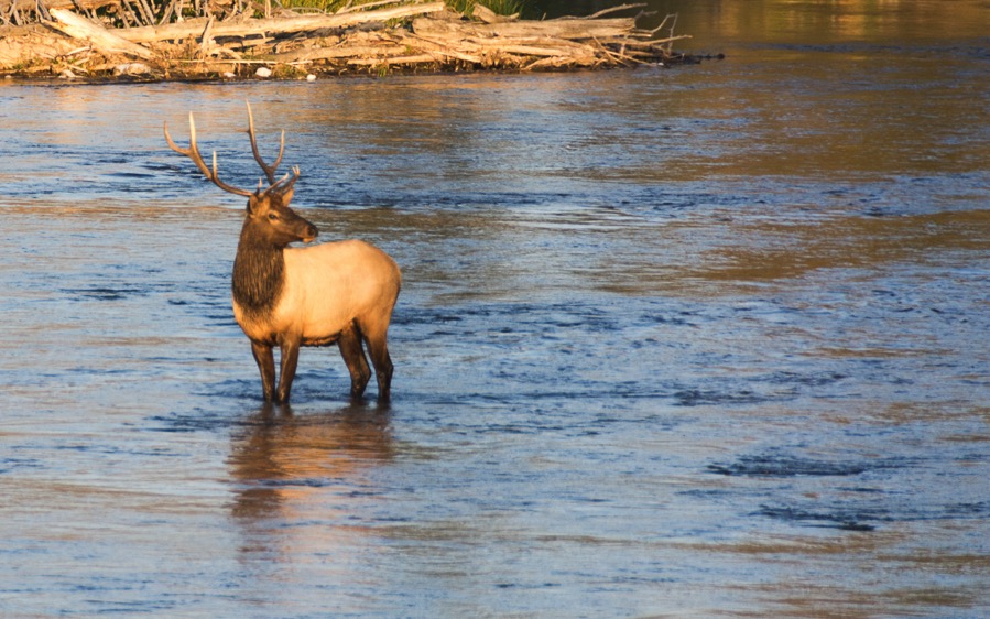 D71_3566.jpg D71 3566