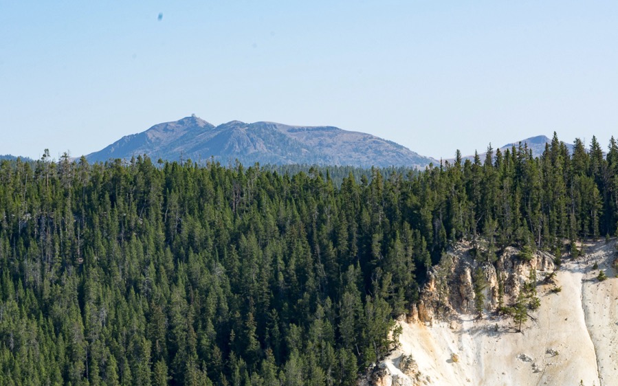 D71_3608.jpg D71 3608