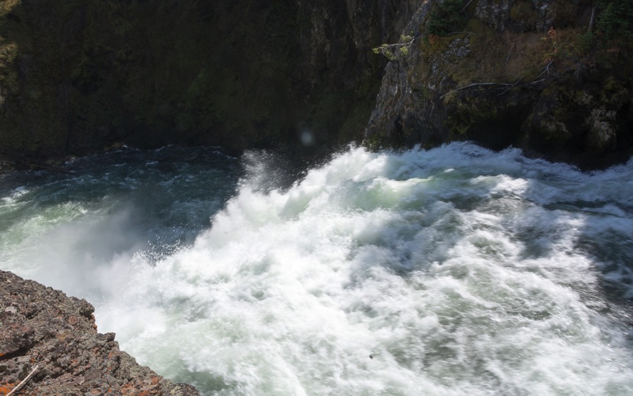 D71_3632.jpg D71 3632