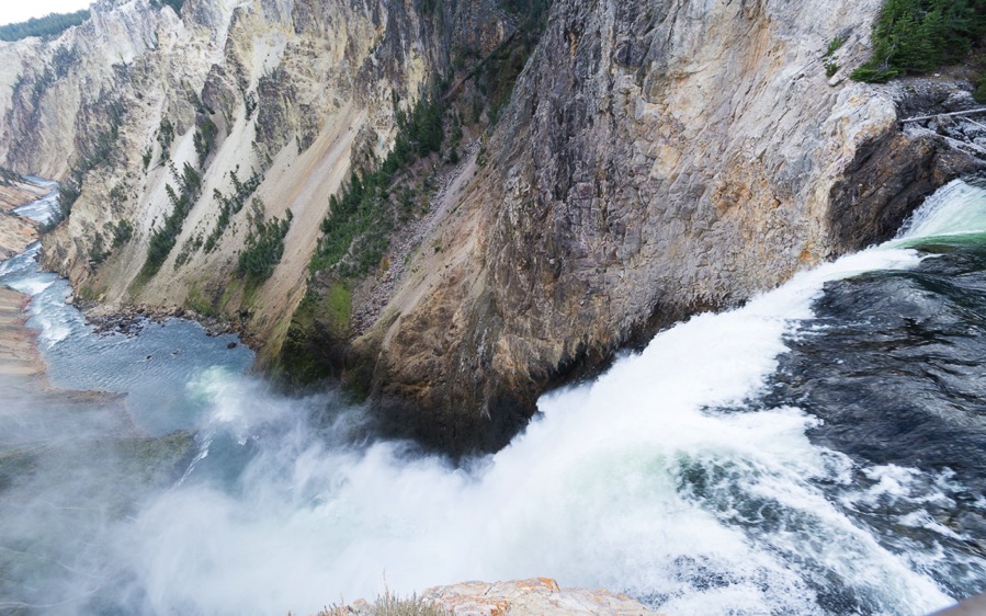 D71_3665.jpg D71 3665