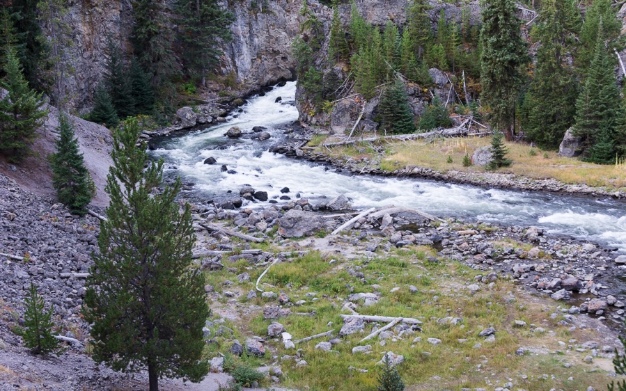 D71_3697.jpg D71 3697