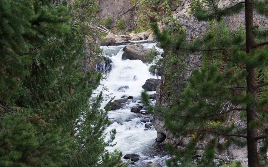 D71_3703.jpg D71 3703