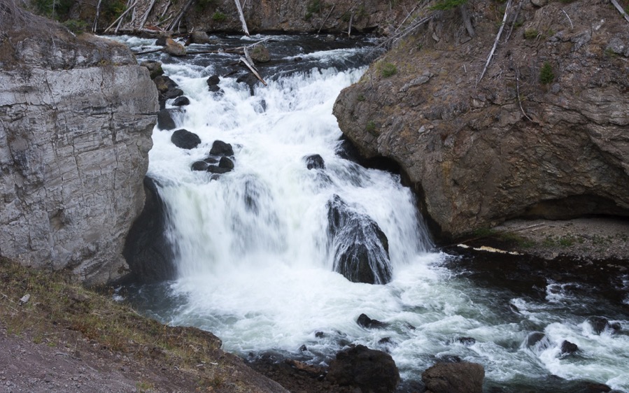 D71_3706.jpg D71 3706