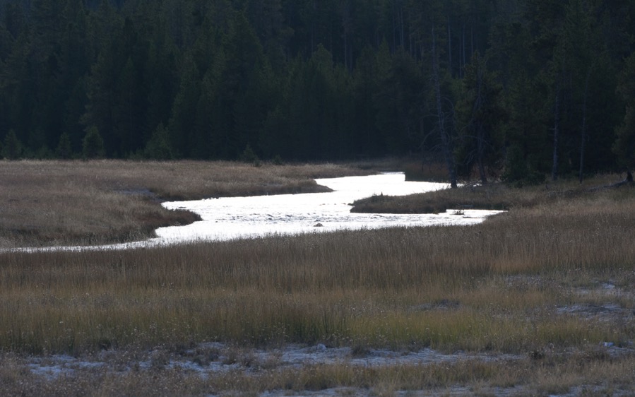 D71_3713.jpg D71 3713