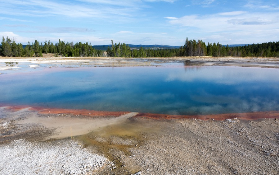 D71_3726.jpg D71 3726