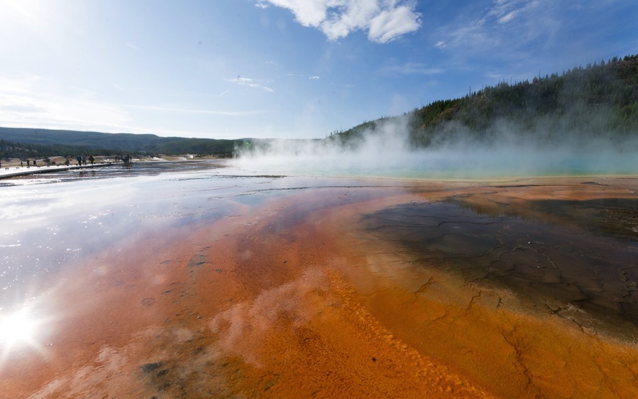 D71_3735.jpg D71 3735