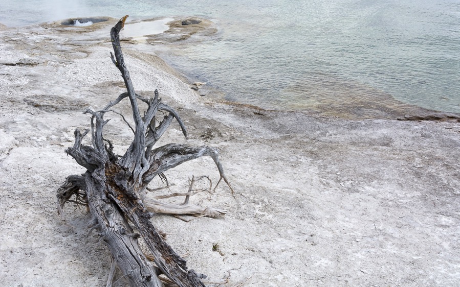 D71_3754.jpg D71 3754