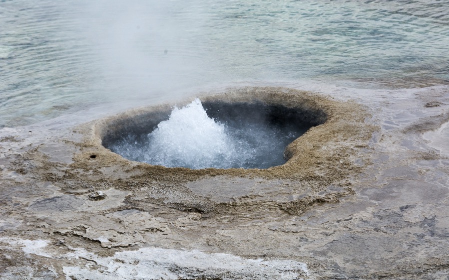 D71_3755.jpg D71 3755