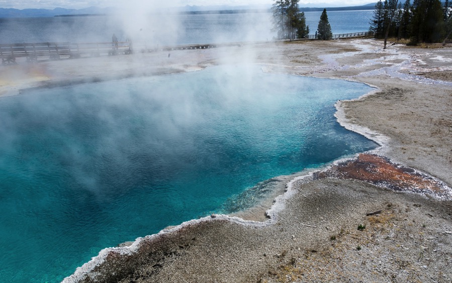 D71_3761.jpg D71 3761