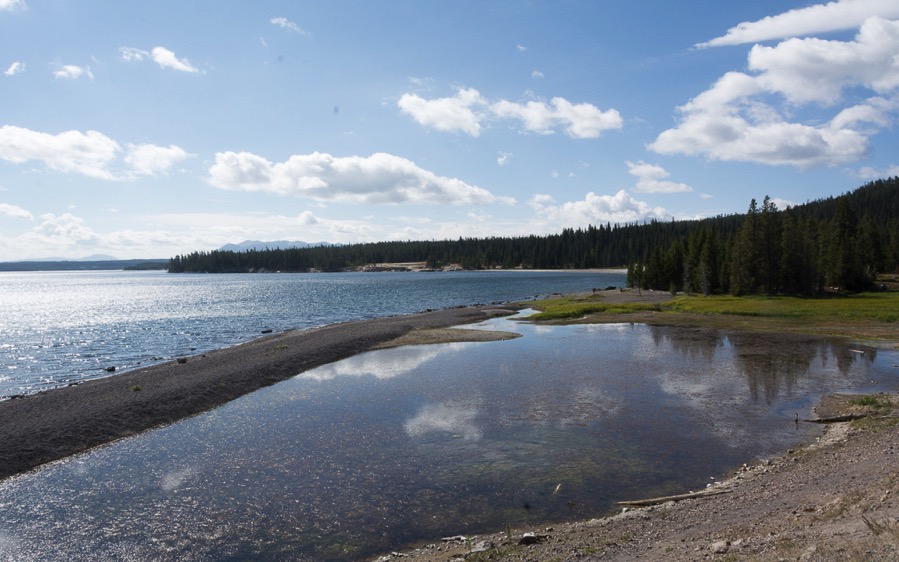 D71_3769.jpg D71 3769