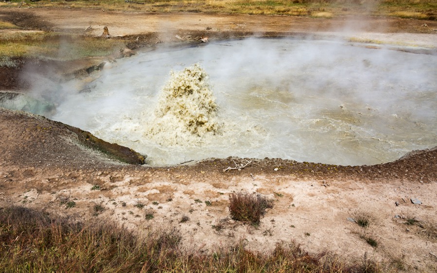 D71_3789.jpg D71 3789