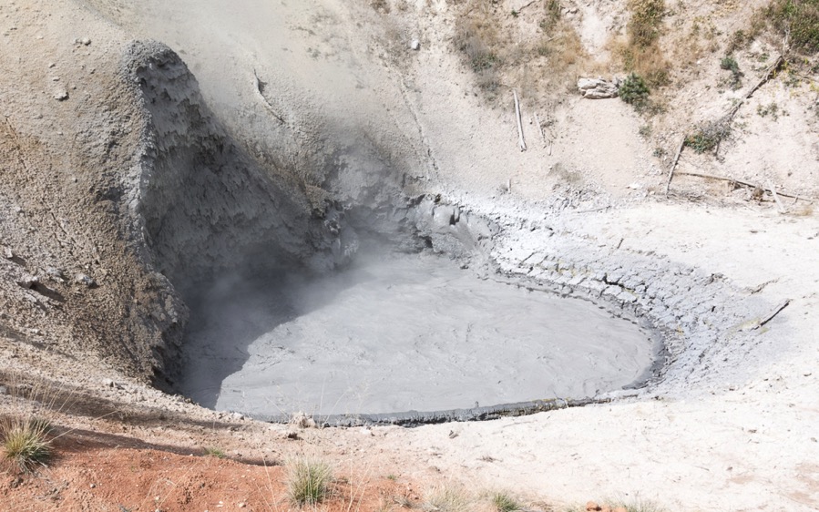 D71_3801.jpg D71 3801