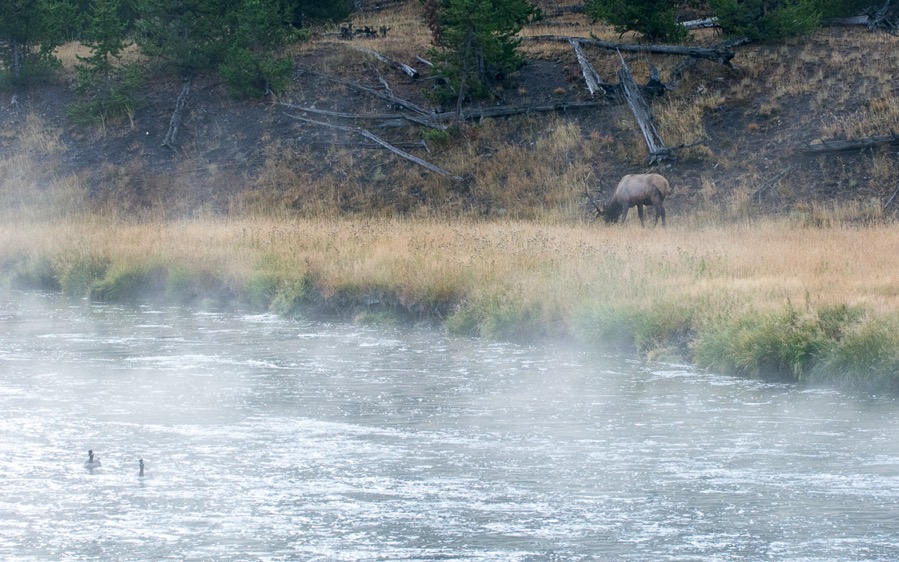 D71_3843.jpg D71 3843