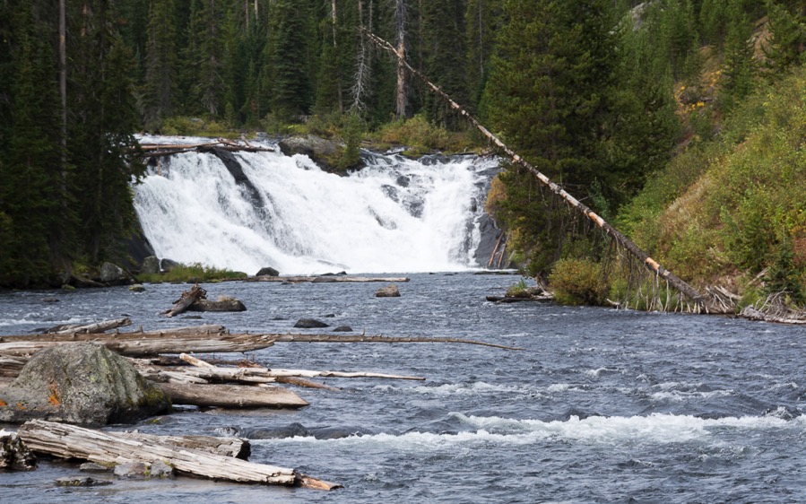 D71_3912.jpg D71 3912